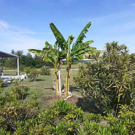 Oceane Nocleg ze śniadaniem *